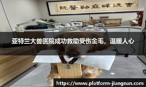 亚特兰大兽医院成功救助受伤金毛，温暖人心